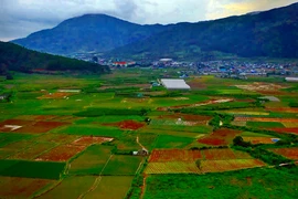 Lâm Đồng đăng ký làm việc với Trung ương gỡ nút thắt cho dự án 981 tỉ đồng