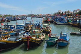 Vì sao giám đốc Trung tâm đăng kiểm tàu cá Lâm Đồng cùng 2 thuộc cấp bị bắt?