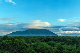 Từ bảo tồn đến khu dự trữ thiên nhiên, Tà Kóu ngọn núi mồ côi không cô độc