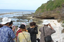 Du ngoạn ở Lý Sơn