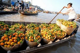 Hồn chợ