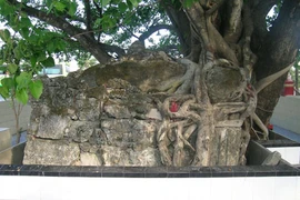 Nghi án nơi ngôi cổ mộ ở Cam Ranh 