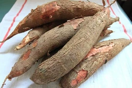 Trẻ nhỏ nguy kịch vì ngộ độc sắn