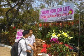 Giá cả các loại hoa tết Ất Mùi 2015