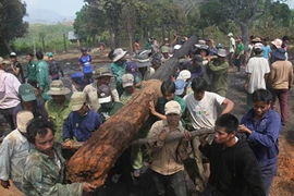 Gia Lai: Lửa thiêu rụi nhiều nhà ở làng Bana trăm tuổi