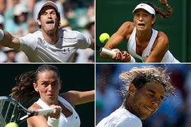Những hình ảnh ấn tượng, hài hước tại Wimbledon