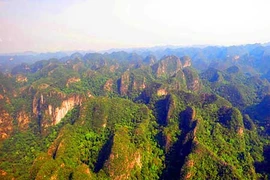 'Vườn treo Babylon' khổng lồ