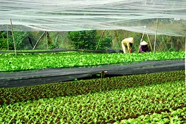 Phân bổ ngân sách gấp bốn lần cho xã khó khăn