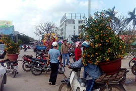 Người dân hối hả mang xuân về nhà ngày 30 tết