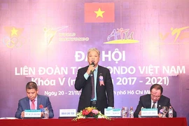 Ông Trương Ngọc Để tái đắc cử chủ tịch LĐ Taekwondo VN