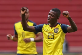 Moises Caicedo từng 4 lần khoác áo tuyển Ecuador. ẢNH: GETTY