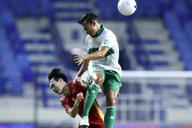 Tuyển Việt Nam trả giá đắt sau chiến thắng Indonesia