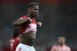 Nội bộ MU dậy sóng vì Paul Pogba