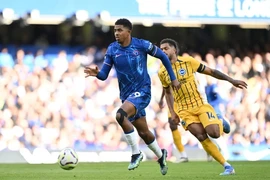 Chelsea – Newcastle: Khó phân thắng bại