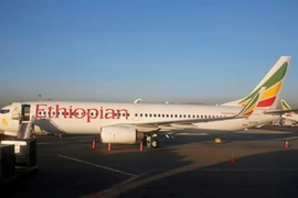 Việt Nam chưa có loại máy bay Boeing 737 Max