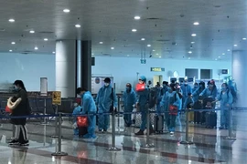 Đưa 310 công dân Việt Nam từ Bắc Âu hồi hương