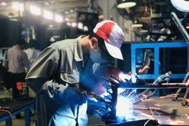 Lao động Việt có cơ hội làm việc lâu dài tại Đức