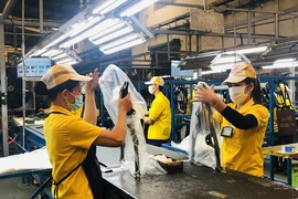 Phụ nữ làm việc nhiều nhưng thu nhập lại thấp hơn nam giới