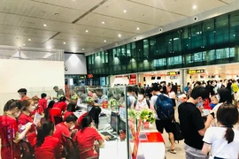 Đường dây nóng phản ánh vé máy bay bán giá cao