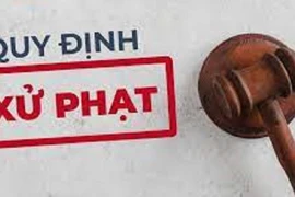 Bị cấm bay 12 tháng do sử dụng giấy tờ không hợp lệ