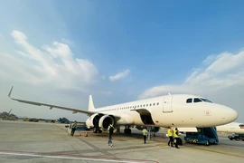 Vietnam Airlines thuê thêm 4 máy bay phục vụ Tết