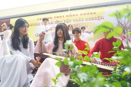 Nghe đờn ca tài tử, lội 'ao' bắt cá và trổ tài làm bánh tại ngày hội trải nghiệm