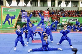 TP.HCM sẽ tổ chức đồng diễn võ nhạc Vovinam vào tháng 11