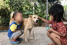 Đừng để mất tình làng xóm vì chuyện... "phân chó nhà ai?"