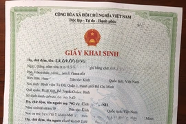 Chính thức triển khai cấp giấy khai sinh trực tuyến cho người Việt Nam tại nước ngoài