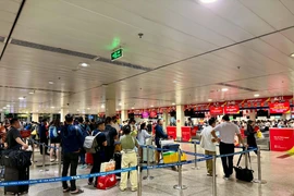 Các bước kiểm tra để tránh việc ra đến sân bay thì bị ách lại do đang nợ thuế