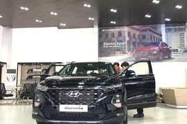 Hyundai Santafe 2019 được giới thiệu qua Tết dương lịch