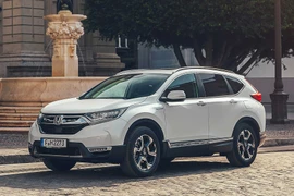 Mua xe ô tô trước Tết, ngậm trái đắng với giá cao