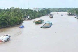 Ảnh minh họa.