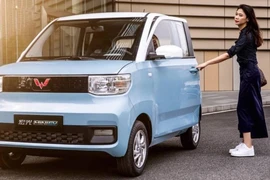 Những mẫu ô tô điện giá dưới 300 triệu đồng khiến nhiều người Việt mơ ước