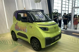 Mẫu xe điện hai chỗ ngồi này chỉ có giá hơn 200 triệu đồng