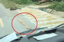 Tài xế bức xúc khi đi qua tuyến đường phơi lúa kèm tấm gỗ gắn đinh
