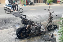 'Dân chơi' xe điện khuyên gì sau vụ cháy xe ở quận Tân Phú, TP.HCM?