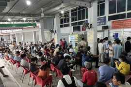 TP.HCM đề nghị người dân đăng ký đổi bằng lái xe qua tổng đài
