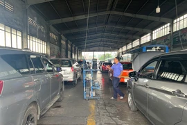 Vừa mất tem kiểm định và sổ đăng kiểm có xin lại được cả hai?