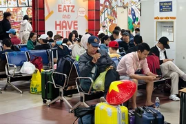 Đi tàu hỏa dịp Tết Nguyên đán 2026 cần lưu ý các quy định về giấy tờ, thú cưng