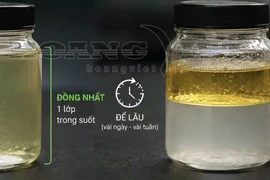 Dùng thiết bị chống tách lớp xăng E10 có hiệu quả?