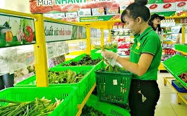 Thế Giới Di Động chính thức bán chuối của bầu Đức