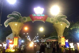 Khai mạc Chợ hoa xuân Bình Điền 2019