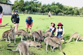 Nhiều tour hè dành ưu đãi đặc biệt cho trẻ em