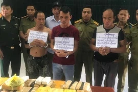 100.000 viên ma túy trong nhà nghỉ
