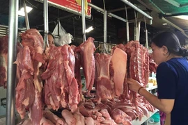 Chặn không cho heo lậu vào chợ đầu mối