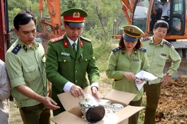 Tiêu hủy hơn 8,5 tấn bánh kẹo, đồ chơi trị giá gần 1 tỉ đồng