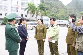 Dựng hàng rào dây thép gai chặn heo lậu qua biên giới