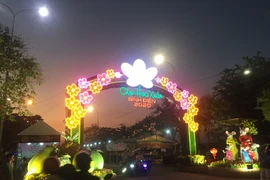 Khai mạc chợ hoa xuân Bình Điền tết Canh Tý 2020