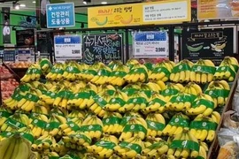 Chuối Việt lần đầu bán ở đại siêu thị Hàn Quốc, 80.000 đồng/kg